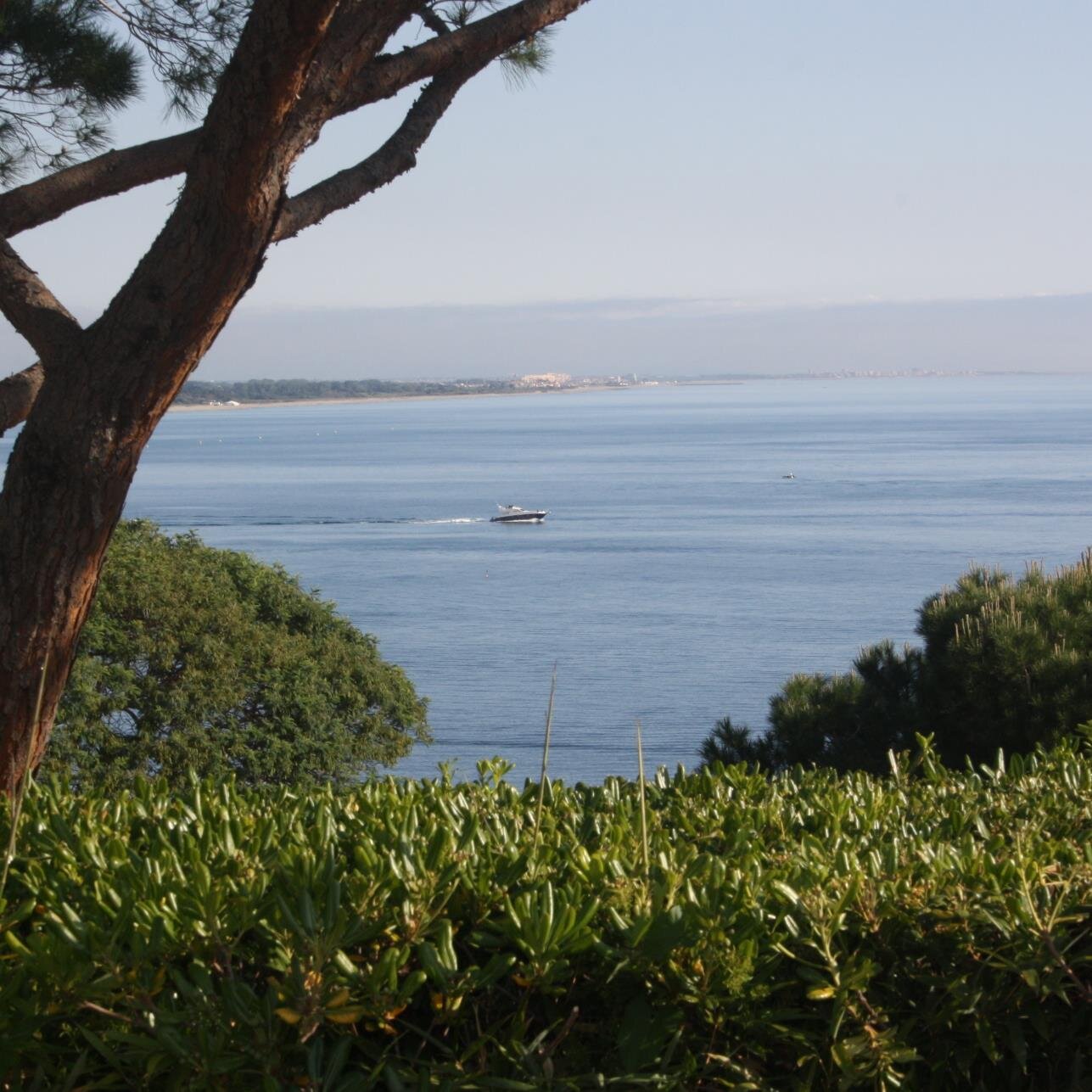 glorieuxveroniq's profile picture. 