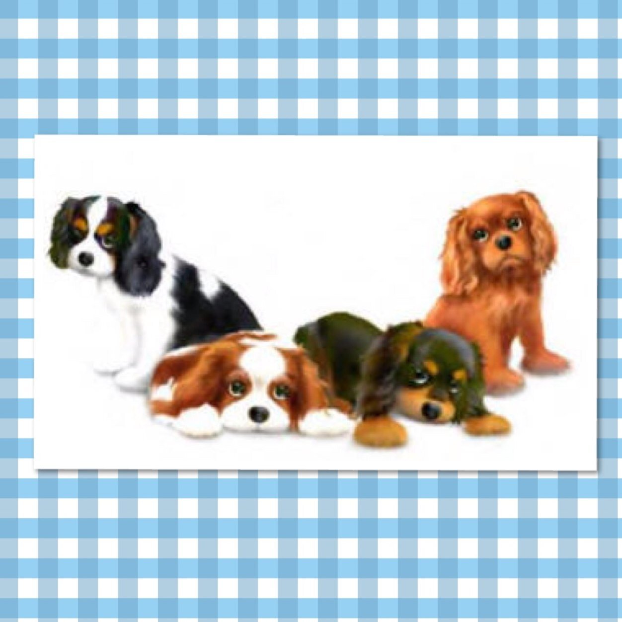 We are an organization that raises funds for Cavalier King Charles Spaniels affected by syringomyelia and chiari malformation. https://t.co/pBjy1MYqhq