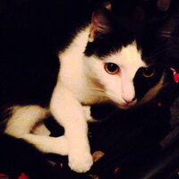 wonderbonder (@wonderbonder) 's Twitter Profile