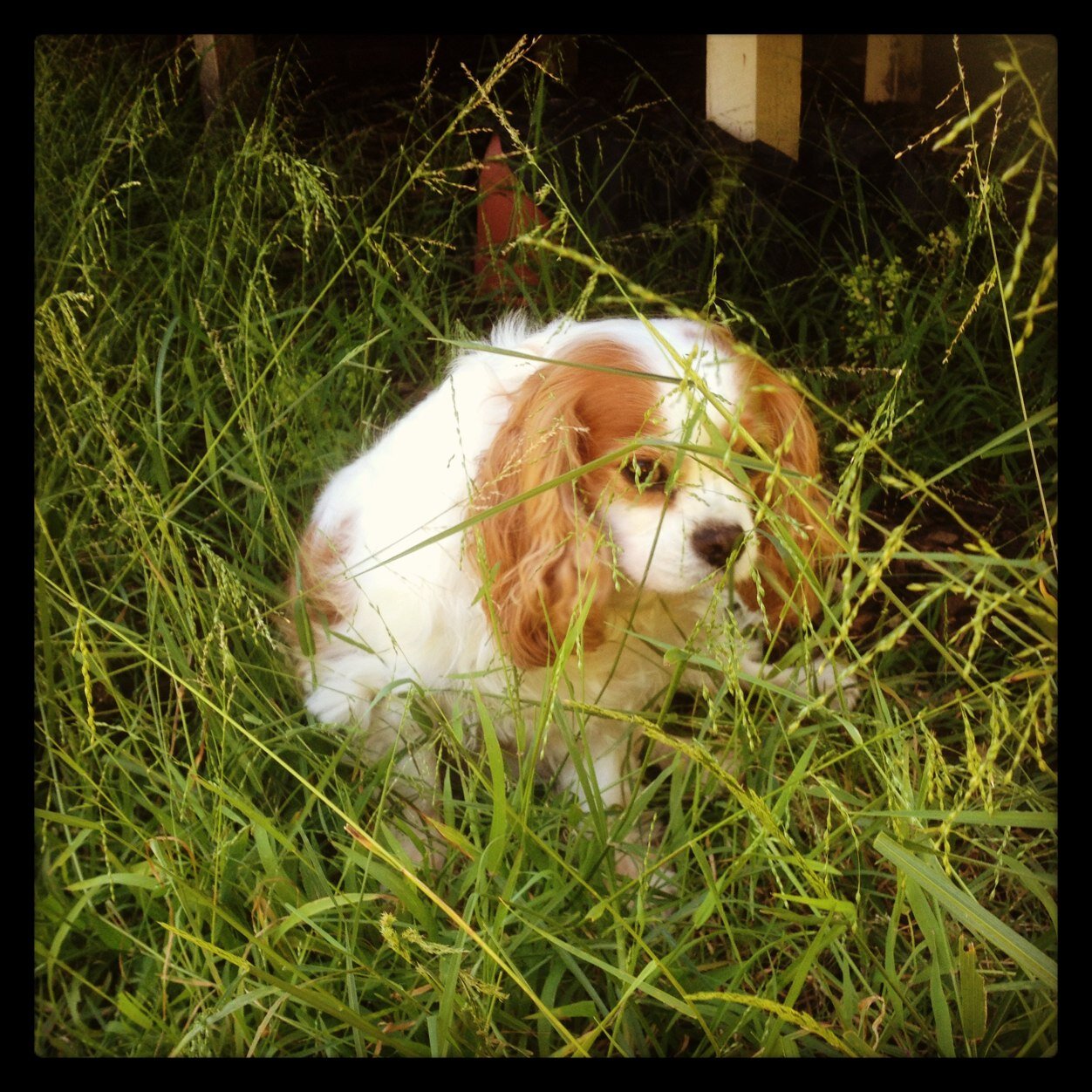 Em_jade17's profile picture. 