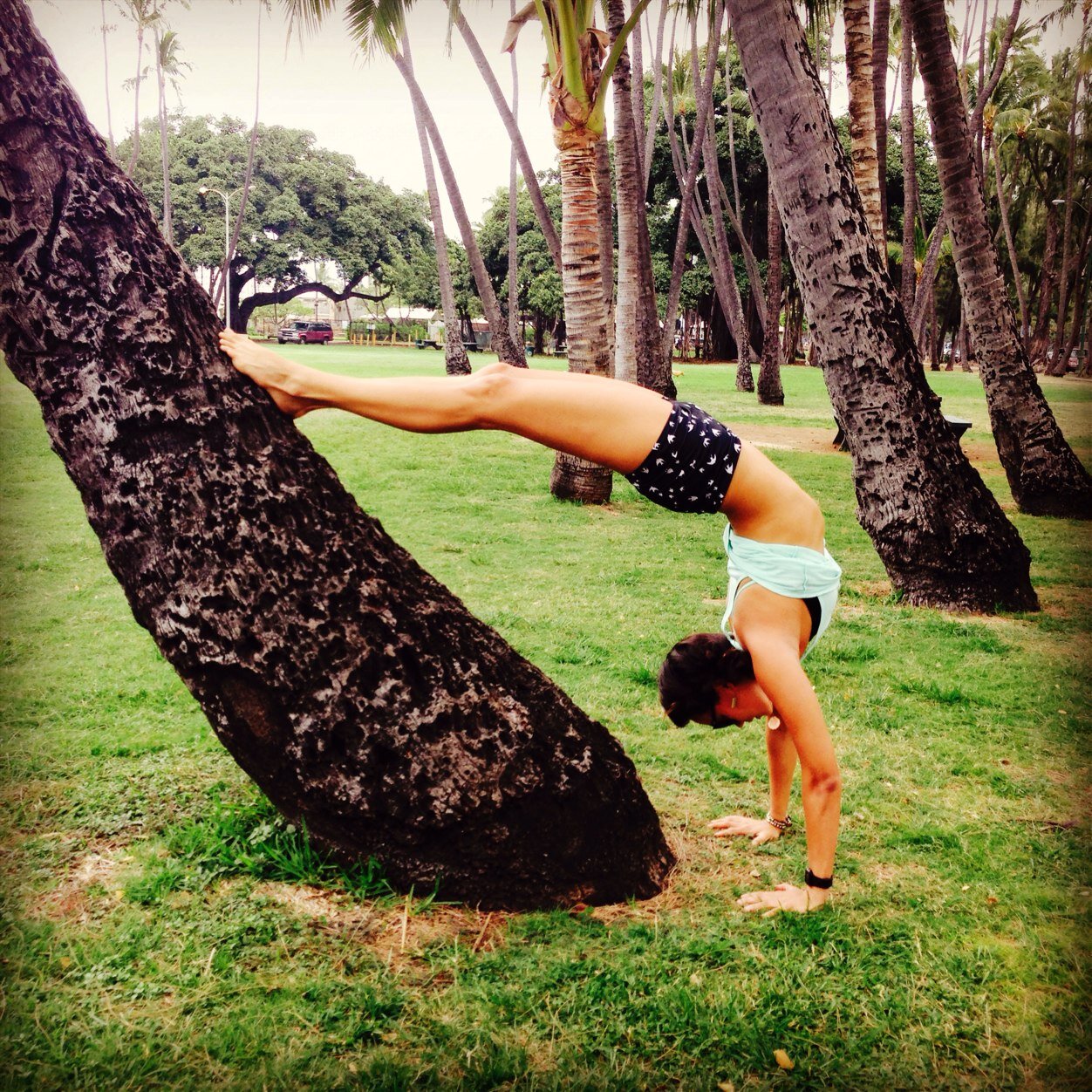Teach, surf, run, laugh, and om