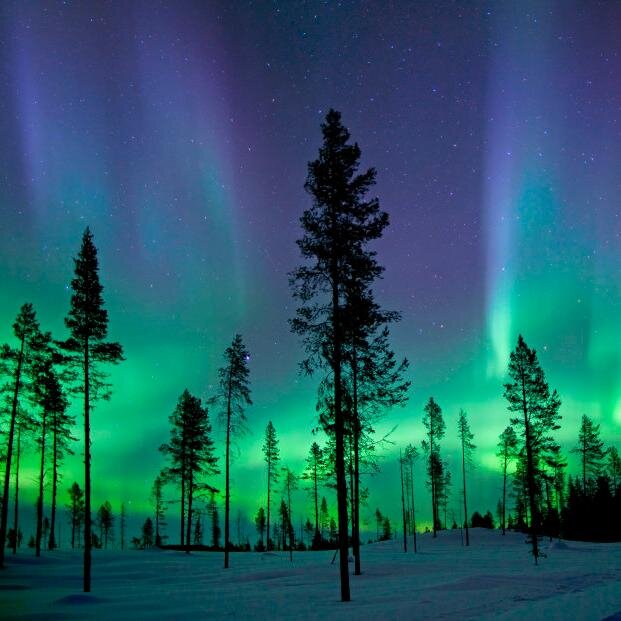 zinzizou's profile picture. 