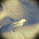 Max Willis - @MaxMaxwillis007 - Twitter