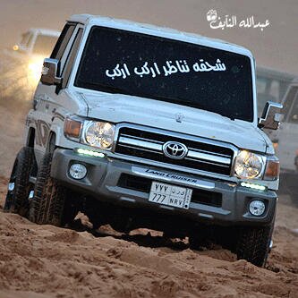 yyyss21trefgv12's profile picture. 