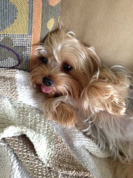 102Leon's profile picture. from the fla keys. luv life!! learning Twitter. new to the game but enjoy the social interaction