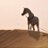 hassan14101's profile image
