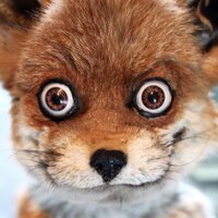 Crap Taxidermy (@craptaxidermy) 's Twitter Profile Photo Crap Taxidermy (@craptaxidermy) 's Twitter Profile Photo