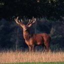 Martin Gentry - @martinggentry - Twitter