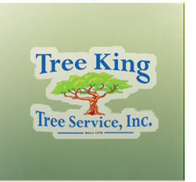 Expert in arbor care & providing tree care and education to his clients all over the Los Angeles Basin.