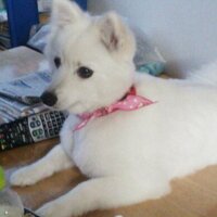 ゆき (@8202012) 's Twitter Profile