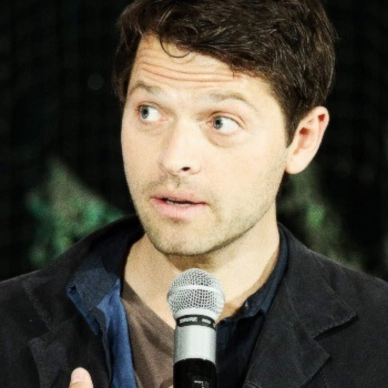 fIyingcastieI's profile picture. @flyingcastiel