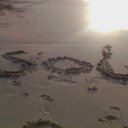 carlos boada - @cboada1978 - Twitter