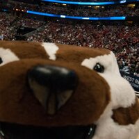 redforeman62 (@redforeman62) 's Twitter Profile