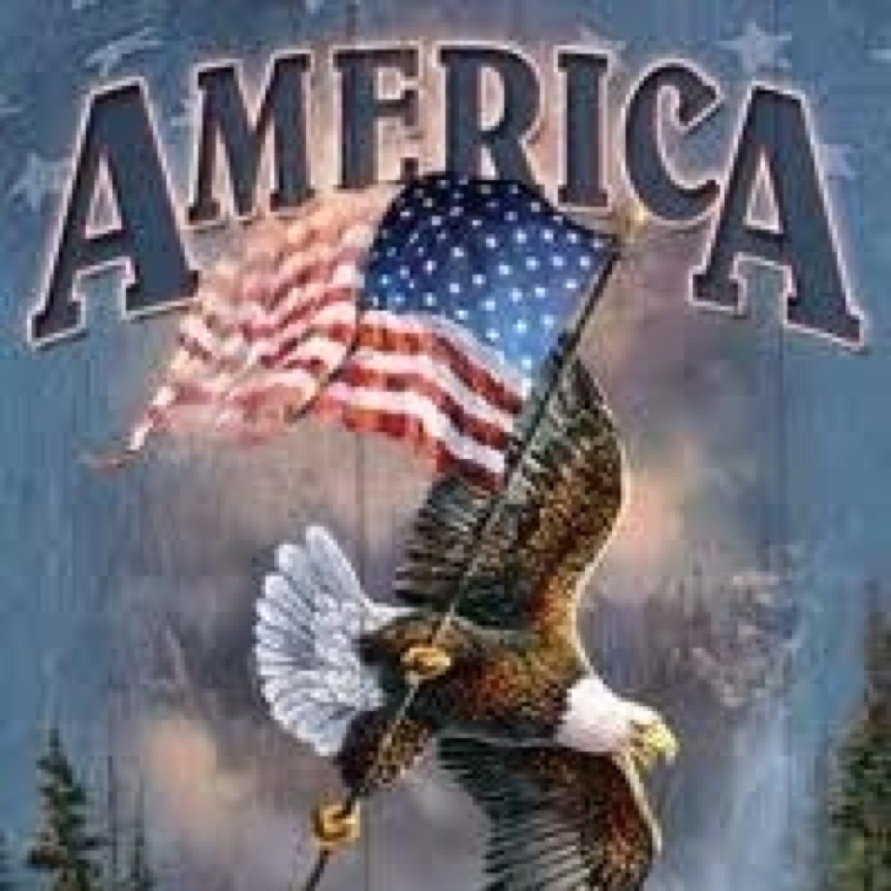 SoP_USA_mc's profile picture. Uniting one nation