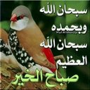 Sultan Karim - @sultan123387 - Twitter