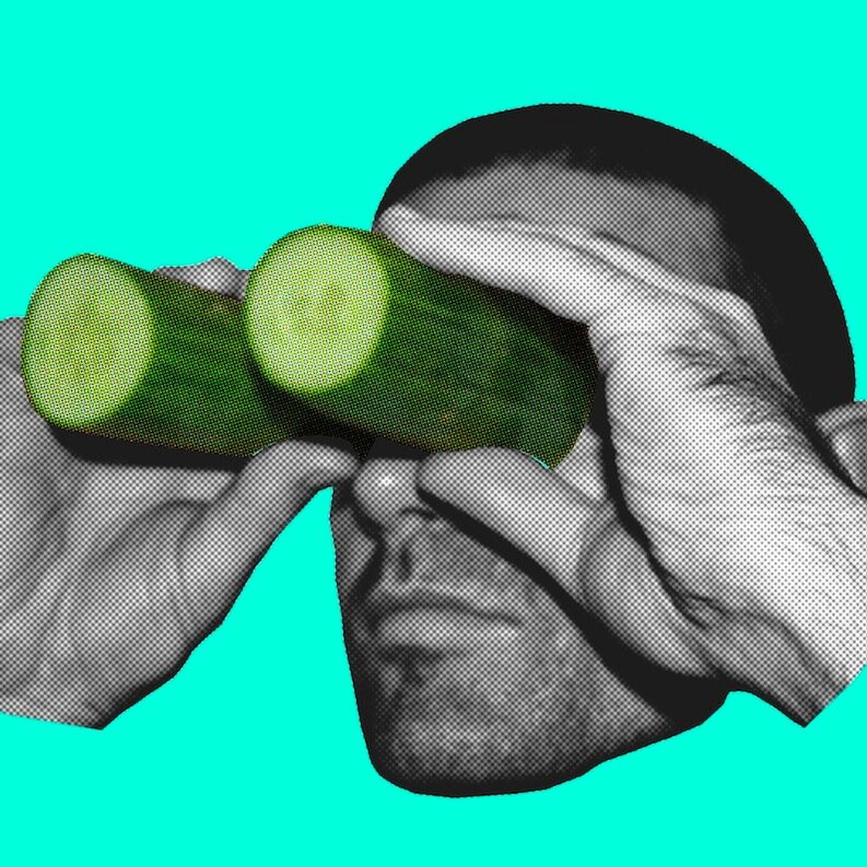Fruit carton collector and mapper
