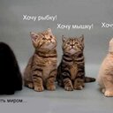 Mary Reeser - @kseniya020783 - Twitter