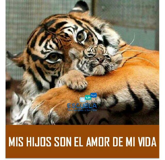 Servidor de servidores!