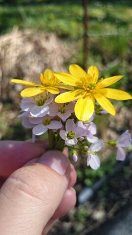 Gry5's profile picture. 