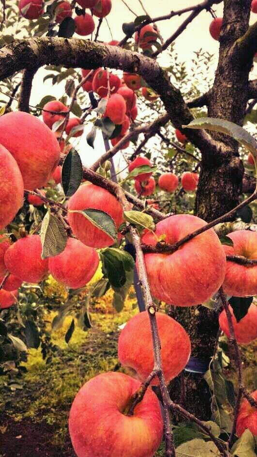 wjs4735's profile picture. 정도를 걷고자 노력하지만 살아갈수록 버겁단생각,
사람사는세상 노공이산 민주주의 최후의 보루는 깨어있는 시민의 조직된힘 그힘의 일부이고 싶은사람 가능한 맞팔노력합니다.