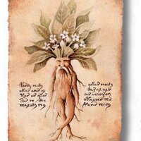 Sir Autumn Mandrake (@autumnmandrake) 's Twitter Profile