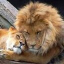 Norma Shannon - @NormaShannon18 - Twitter