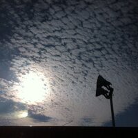 ちっち (@sei13111) 's Twitter Profile