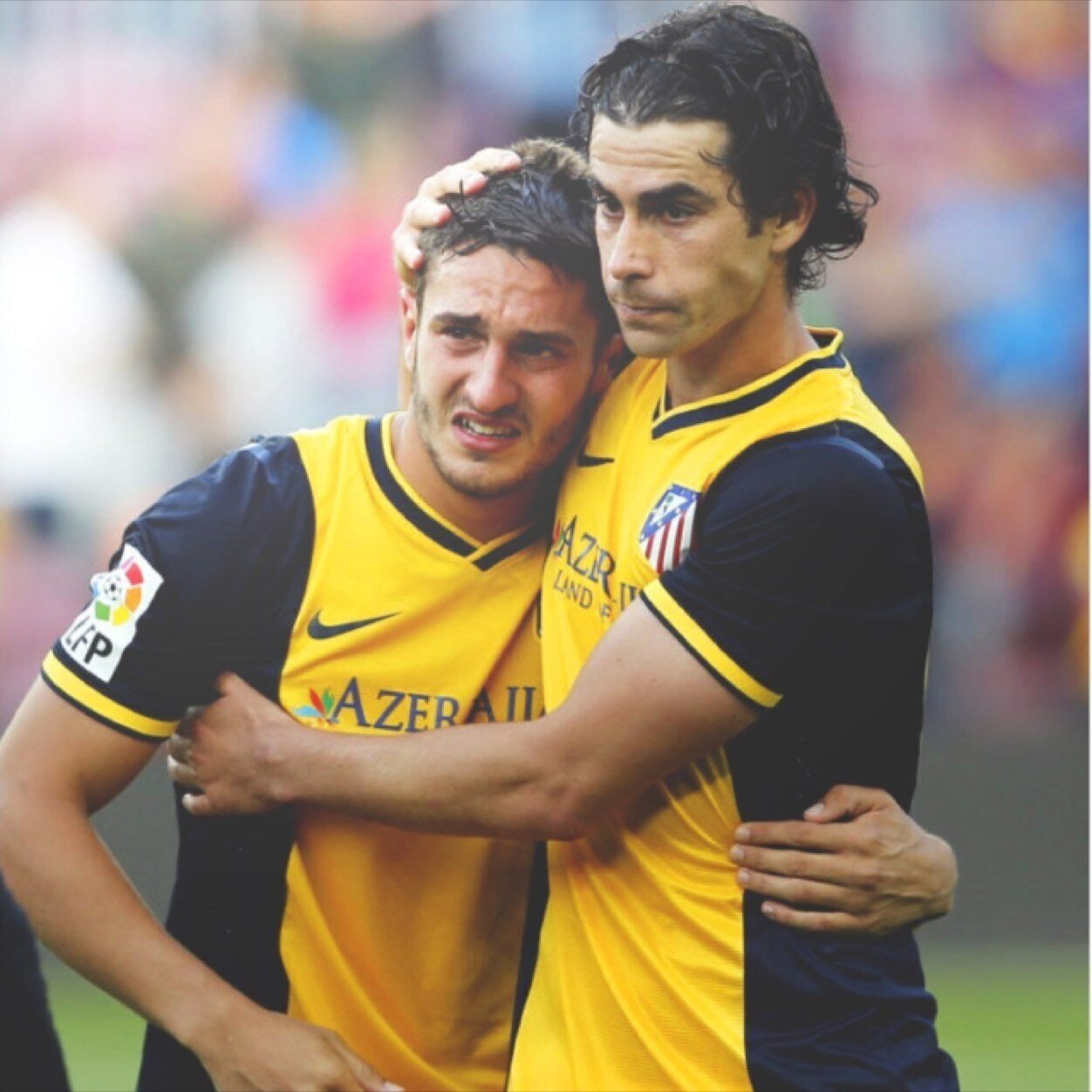 Colchonero hasta la muerte de nacimiento te quiero atleti hole hole hole hole Cholooooo Cholooooooo