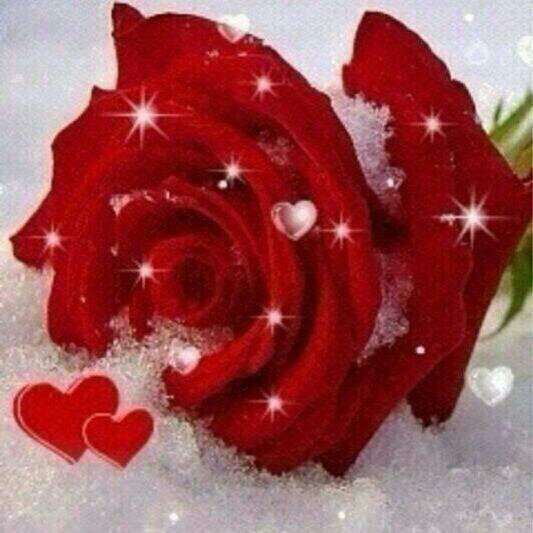 m52115514's profile picture. ساره المطيري