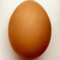 Une personne comme les autres, 
c'est le début donc si tu follow je te follow back !