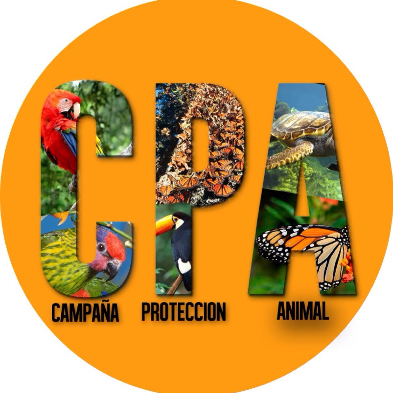 Campaña creada para combatir el abandono y maltrato ya sea de animales domesticos u exoticós. Una acción puede hacer un gran cambio.