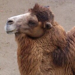 _k_yosuke's profile picture. がんばっています。