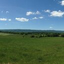 Sarah Peer - @sarahjopee - Twitter