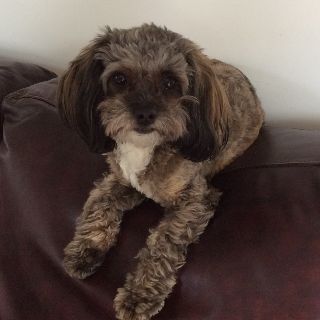 looru's profile picture. 