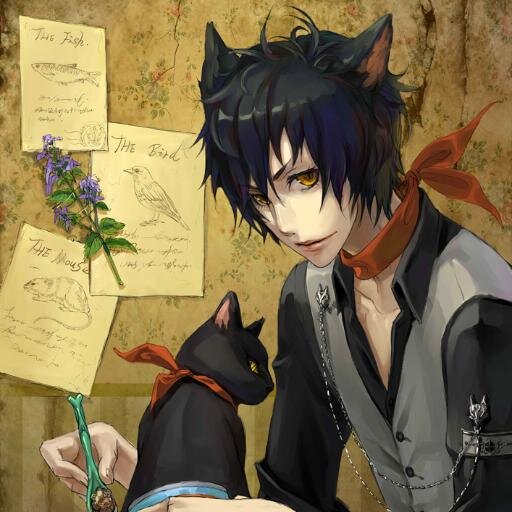 The names mat and yes i'm part cat, we are called Nekos and are quite friendly as long as you don't touch the tail. #Single