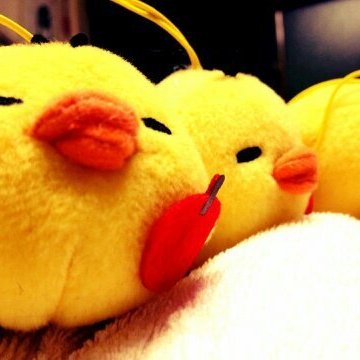 バ ナ ナ