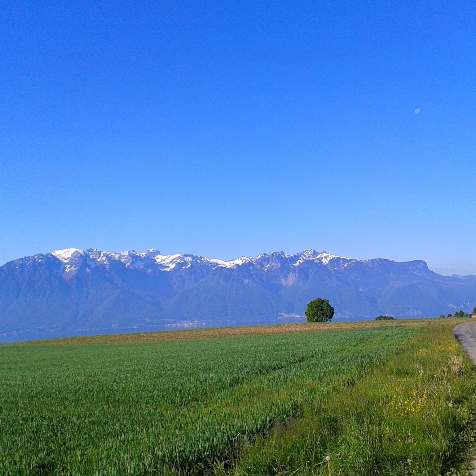 RiccioDiAngelo's profile picture. Père au foyer, Batteur, Conservative, Baptiste Réformé 🇳🇱🇨🇦🇨🇭