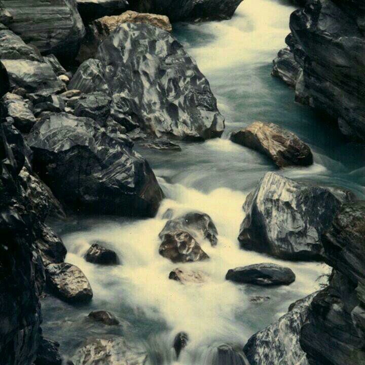 hungmingswcb's profile picture. 