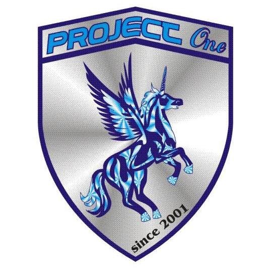 ProjectOneBorgo's profile picture. Contribuire al potenziamento e miglioramento dell'immagine del cliente, tramite la realizzazione di oggettistica con caratteristiche creative.