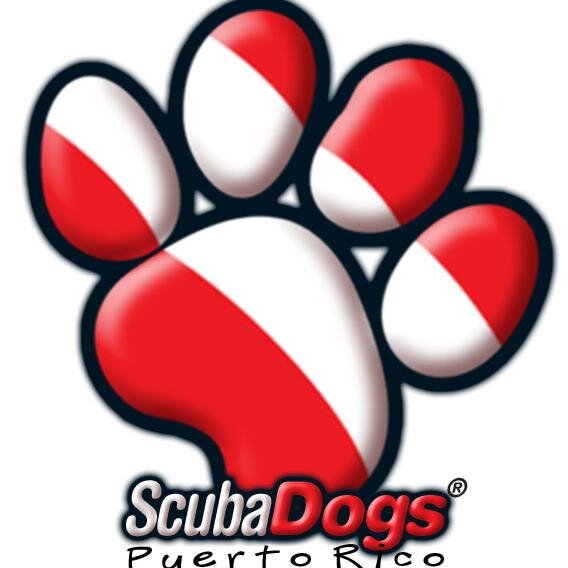 Just like dogs are “Man’s Best Friend”, we at Scuba Dogs are “Diver’s Best Friend”, reflecting our commitment to providing an excellent service.