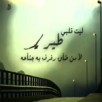 insta: qween_tifany