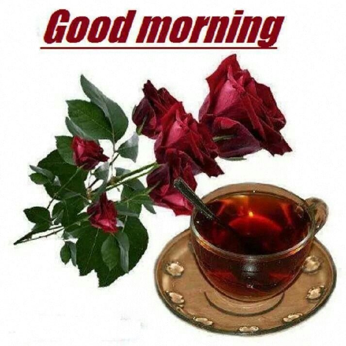 hi am a gambian in italy