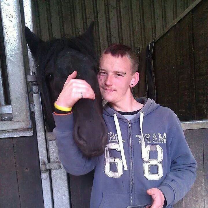 looking for somewhere to rent a horse or stable in Wales or Cardiff, im new to the area, follow me and follow back, bbm 769031FE or tweet me