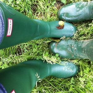All the beautiful things allotment gardening provides #allotment