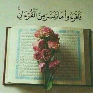 for3beer__'s profile picture. ارحمها برحمتك واجعل قبرها روضة من رياض الجنه وجمعني بها بجنتك