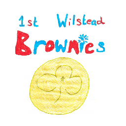 Wilstead Brownies