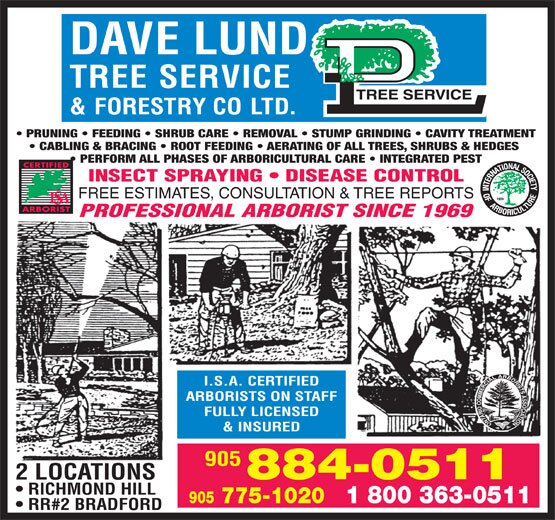 Dave Lund Tree Service & Forestry Co Ltd. offers professional tree and stump removals throughout Ontario.