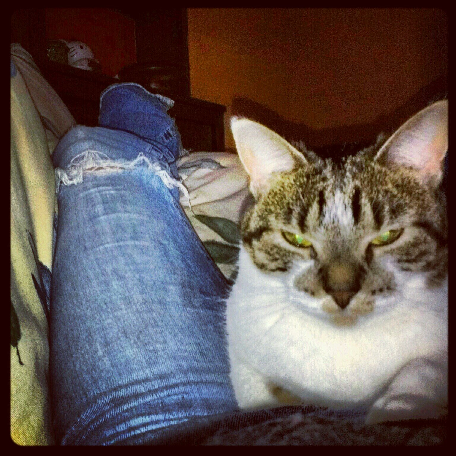 nperkl's profile picture. I like craft beer. I'm a hippie at heart. Pointless stories are my thing. Oh, and I knit too.