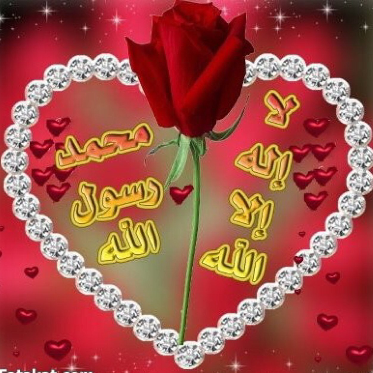 إغرسوا نَخلاً فِي الجَنہ تَستظِلون تَحت ظِلها غداً . . ♥ ( سُبحآن الله وبِحمدهـہ ’ سُبحآن الله العَظيم ) . . ♥ أغرد بما تستهويه نفسي ومعظم تغريداتي منقوله..
