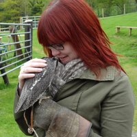 Bethy 🏴 🏳️🌈 🇪🇺 🦉🐈 (@kulabeth) 's Twitter Profile Photo Bethy 🏴 🏳️🌈 🇪🇺 🦉🐈 (@kulabeth) 's Twitter Profile Photo